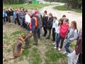 Pohorje 2013 | Usposabljanje vodnikov in reševalnih psov GRZS