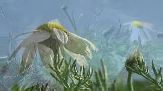 NANA MOUSKOURI,  SEASON IN THE SUN