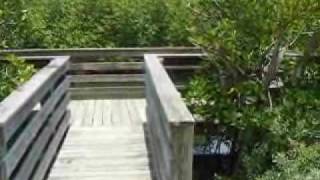 Bear Point Sanctuary