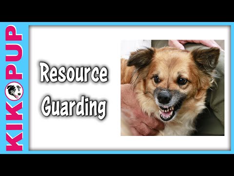 STOP UNWANTED behaviors with BACK UP