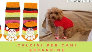 Metto calzini e scarpette alla mia cagnolina: guardate il risultato!