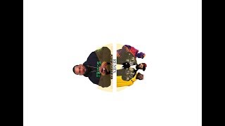 Raekwon - House of Flying Daggers (Vienna Voodoo Orchestra Remix)