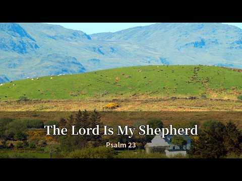 The Lord Is My Shepherd (Psalm 23) | Catholic Bible Praise f…