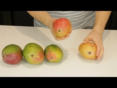 download lagu mp3 mp4 How Do I Know When A Mango Is Ripe, download lagu How Do I Know When A Mango Is Ripe gratis, unduh video klip How Do I Know When A Mango Is Ripe