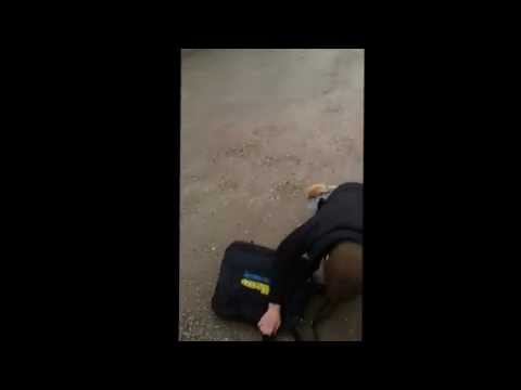 szopen wraca z sylwestra