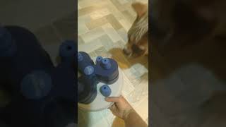 Solving Trixie Flower Tower lvl3 puzzle for the first time ☘️