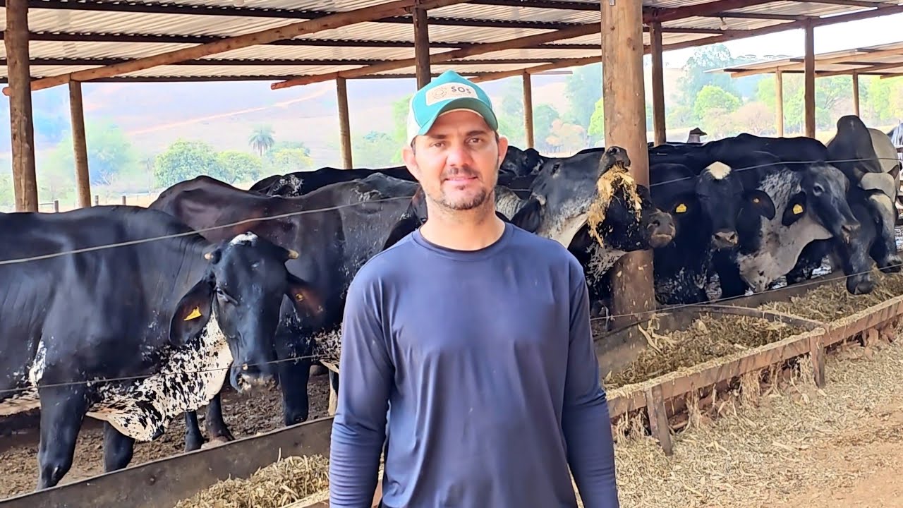 ALTA PRODUÇÃO DE LEITE EM UM SISTEMA BARATO