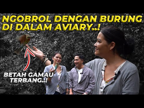 PERTAMA KALI..! MELANIE SUBONO KAGUM MASUK KE AVIARY DEHAKIMS..!