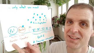 Thinking Through the trp Operon