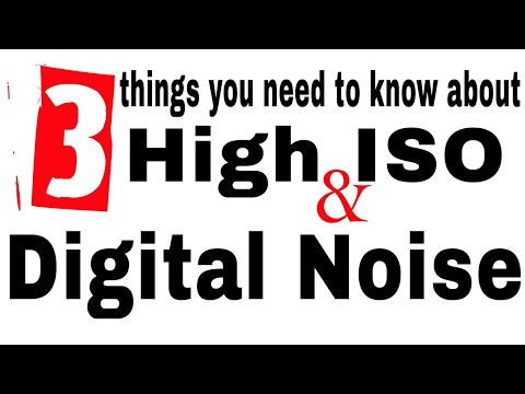 High ISO and Digital Noise! 3 things you need to know!