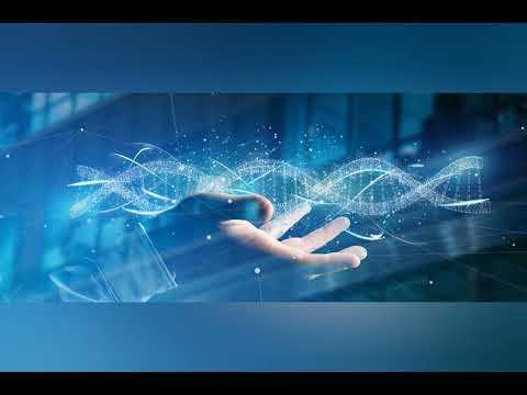 Dreamstate Human Intervention Evolved Feat. Elize Ryd