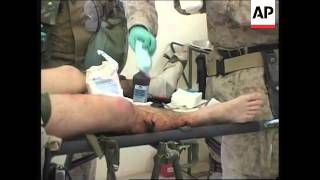 Fallujah Casualties
