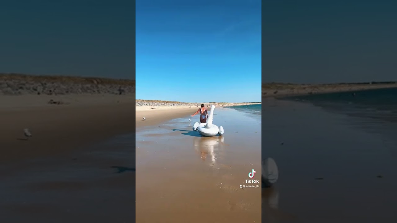 Série : Qd tu vas à la plage & que tu te perds  - Ep.1 | Qd Grenadine décide de suivre des mouettes…