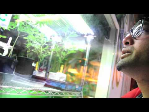 LOVER LOVER PLAYER BOY - "BOOM" Official Music Video