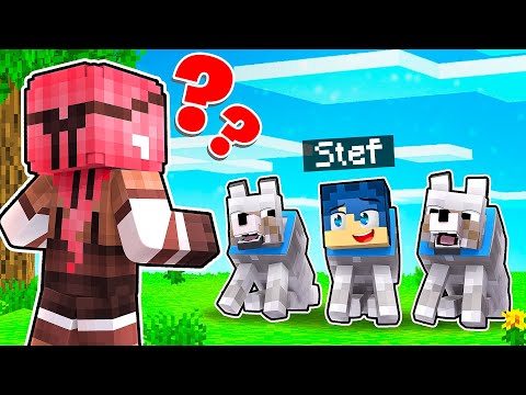 QUALE CANE È IL VERO STEF? - MINECRAFT *NASCONDINO*