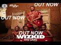 Wizkid - In My Bed (OFFICIAL AUDIO 2014)