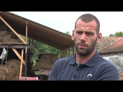 Kozarstvo kao ŠANSA za dobru zaradu