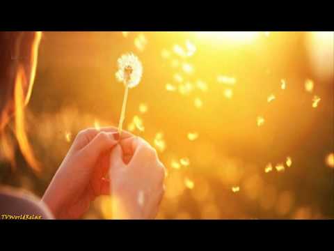 download lagu mp3 mp4 Energetisch Reinigen Van Je Huis, download lagu Energetisch Reinigen Van Je Huis gratis, unduh video klip Energetisch Reinigen Van Je Huis