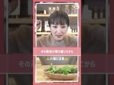 園芸 ローズゼラニウム、香りの強いゼラニウム