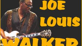 joe louis walker - i've got your love