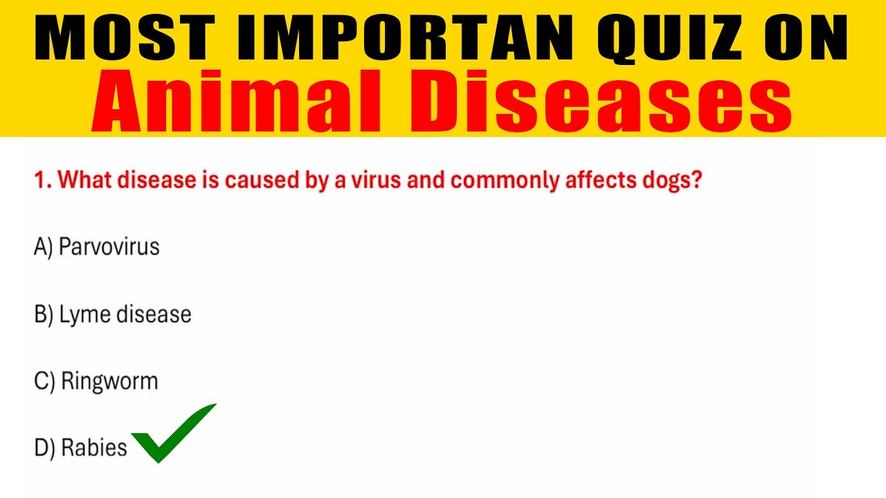 Most Important MCQs About Animal Diseases