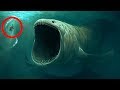10 BIGGEST Underwater Creatures In The world!
