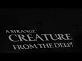 Teaser