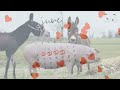 Donkey And The Pig Are Animals But Find Out The Amazing Truth EG Gardening