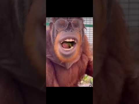 Best of kaydotmovies