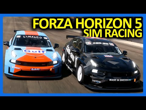 Forza Horizon 5 but We Turned It Into Hardcore Sim Racing...
