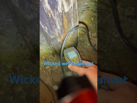 Wicked Wet Basement: What to Do Today