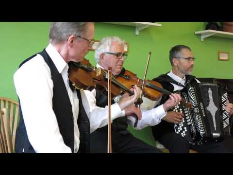 Schottish fr. Bingsjö (S) - Rebild Spillemændene/Søndagsdans 27.3.16