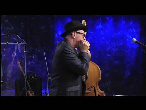 Mark Hummel - Walking With Mr  Lee - Don Odell's Legends