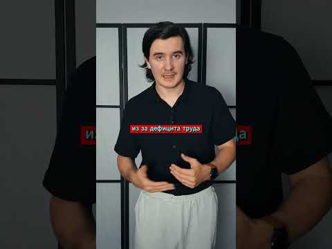 Обзор на интервью Андрея Нечаева. Часть 3.1. Миграционная политика.