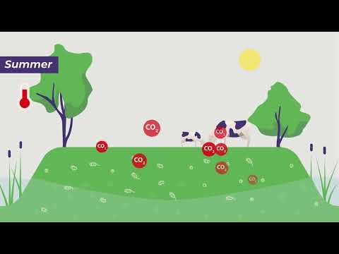 Peat degradation and greenhouse gas emissions in Dutch Peatland