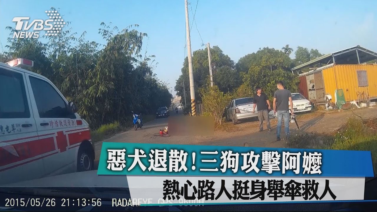 惡犬退散!3狗攻擊阿嬤 熱心路人挺身舉傘救人