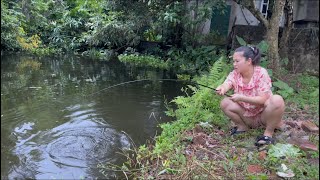 Download lagu Giant fish like to eat watermelon mp3