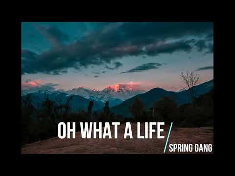 Oh What A Life - Spring Gang - Study Background Music