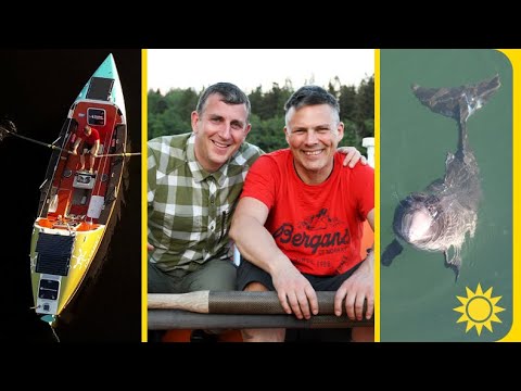 De ska ro över Atlanten – för att rädda tumlaren | Nyhetsmorgon | TV4 & TV4 Play
