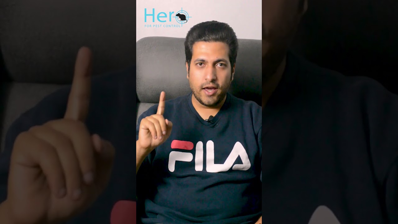 رشيت مبيدات كتير ومش جايبه نتيجه ولسه مش عارف تتخلص من الحشره ؟؟ 