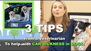 3 Tips to help with Car Sickness in Dogs? | Stop vomiting during car rides!