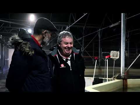 The Futurecast, Circular Economy in Action: Stolt Sea Farm