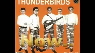 Download lagu My Lonely Heart - The Thunderbirds mp3 Download lagu My Lonely Heart - The Thunderbirds mp3