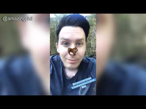 Dan & Phil - Instagram Story Compilation (September 28th 2019)