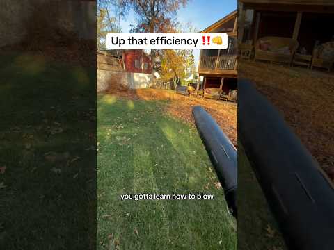 You gotta learn how to blow leaves! #satisfying