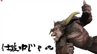 MHRise サクッとひと狩り！！