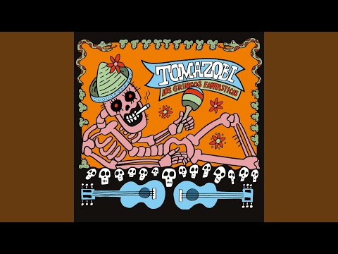 Mis Velo (Ah & auml;nger)