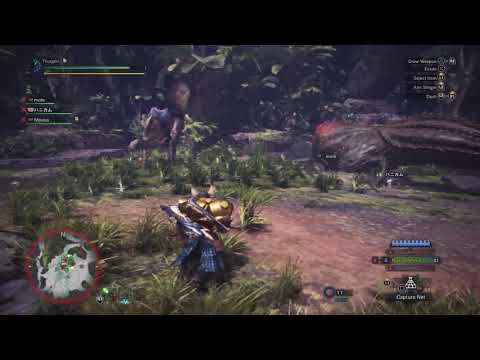 Monster Hunter: World - No Turf War?: Deviljho Vs Anjanath