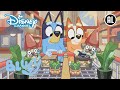 Bluey | ? Bluey Wil Alles! | Disney Channel NL