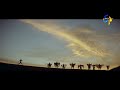 Neetho Telugu Movie Navvali Neetho Video Song